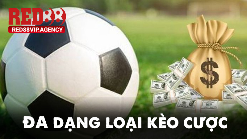 Đa dạng loại hình, kèo cá cược tại thể thao RED88